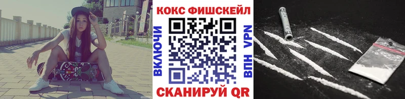 купить наркоту  Кадников  Cocaine Эквадор 
