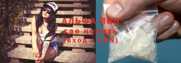 ешки Бородино