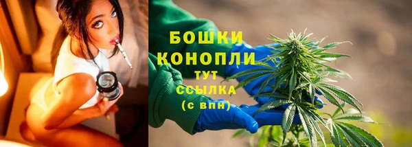 крисы Бугульма