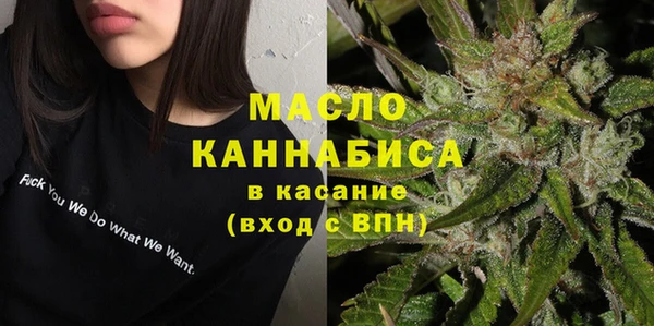 ешки Бородино