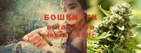 ешки Бородино
