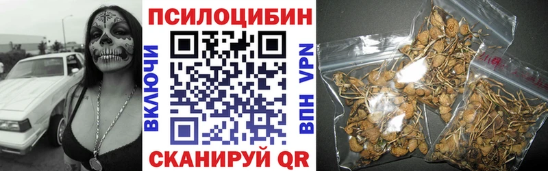 Галлюциногенные грибы Psilocybe  Кадников 